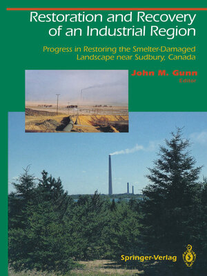 cover image of Restoration and Recovery of an Industrial Region